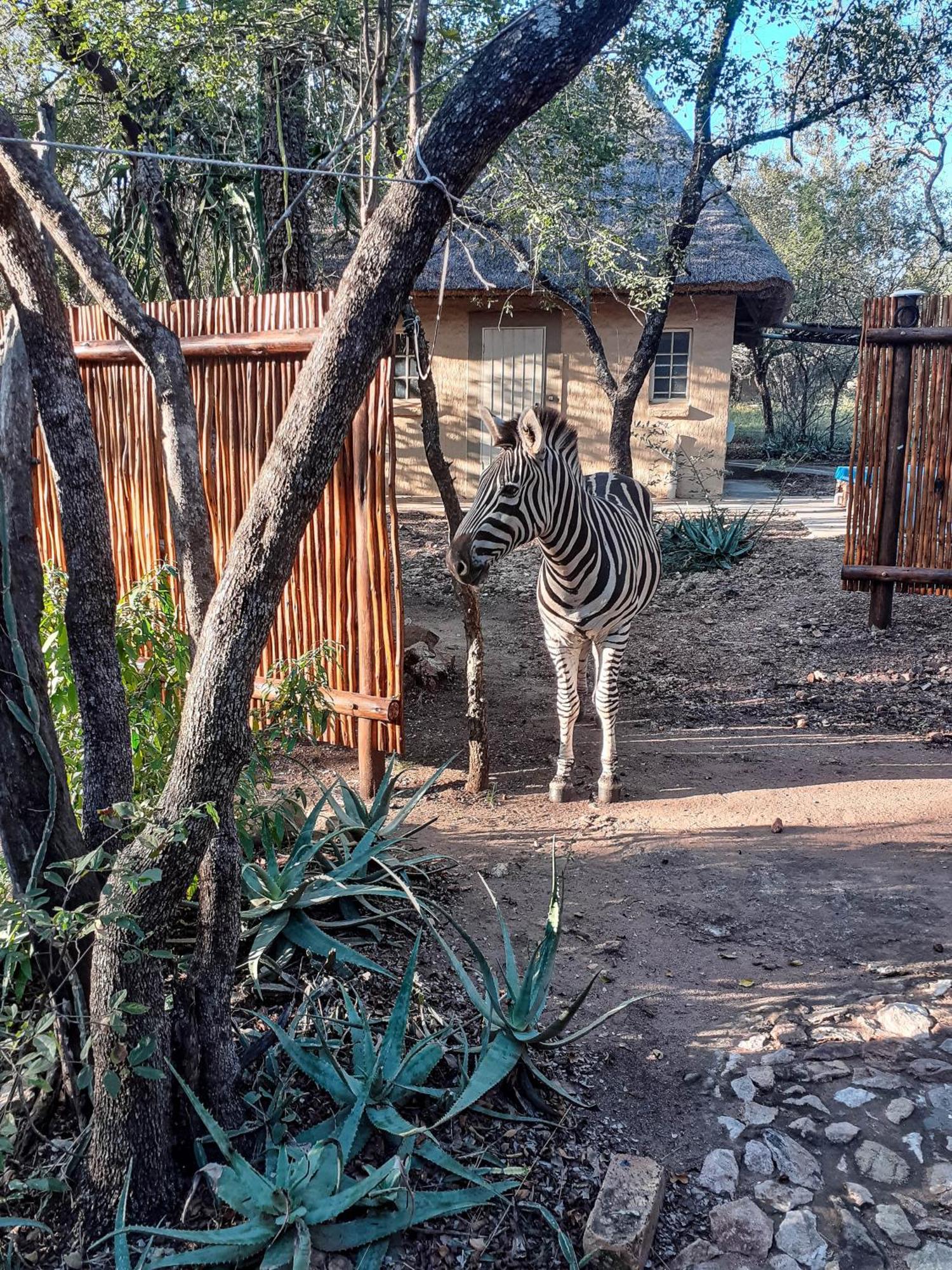 Casa de Férias Injabulo Marloth Park