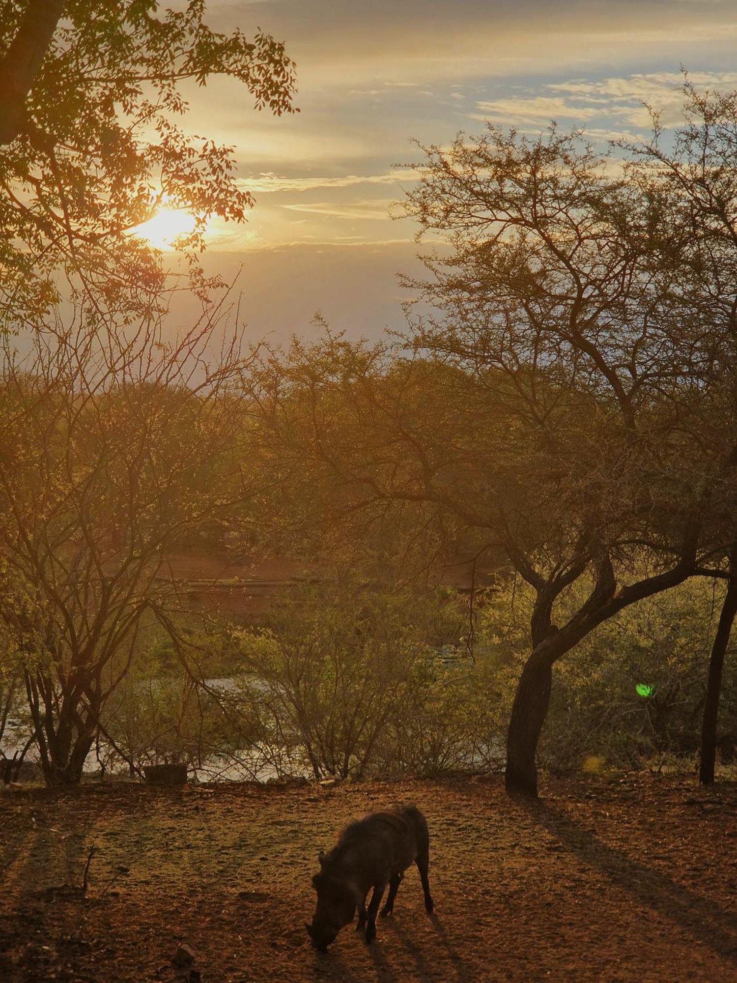 Injabulo Marloth Park